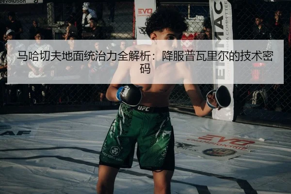 ma-ha-qie-fu-di-mian-tong-zhi-li-quan-jie-xi-xiang-fu-pu-wa-li-er-de-ji-shu-mi-ma-2-787.jpg